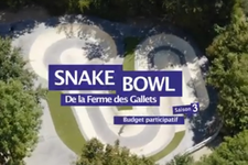 snake bowl.jpg